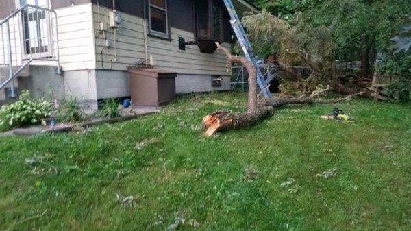 clean up from front yard.jpg