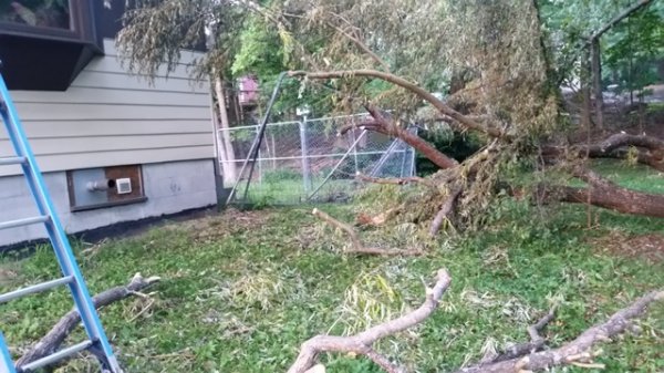 clean up from ladder.jpg