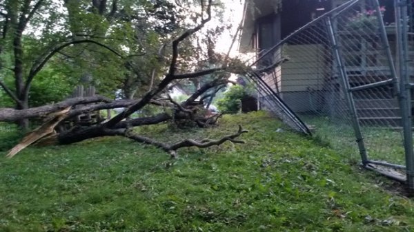 clean up from back yard.jpg