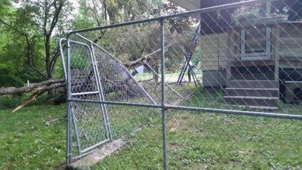 clean up from pen.jpg