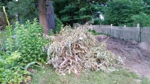 pile of limbs by flower bed.jpg