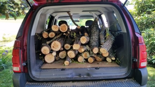 truck full of wood 4th trip.jpg