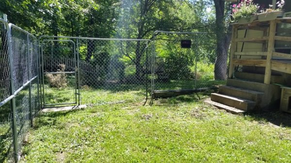 fence all better - old panels.jpg