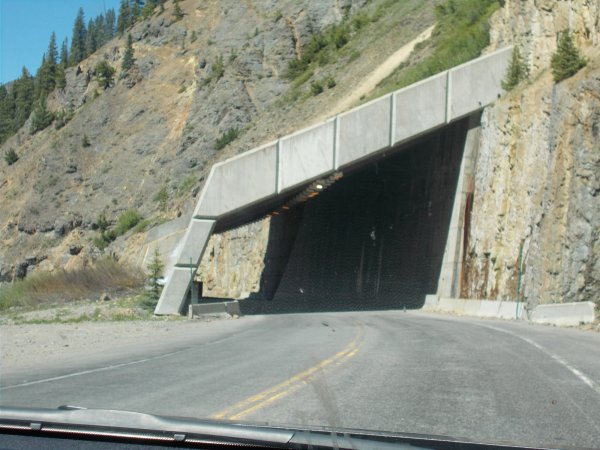 DSCN0364.JPG