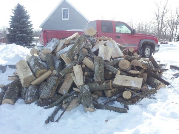 March Wood 2014.jpg