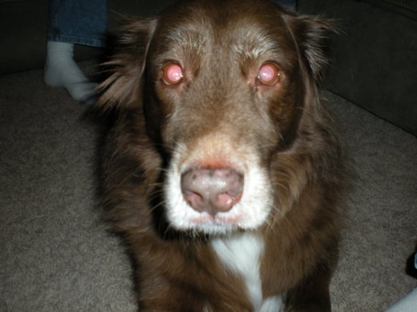 download Jan 14 2012 146.jpg