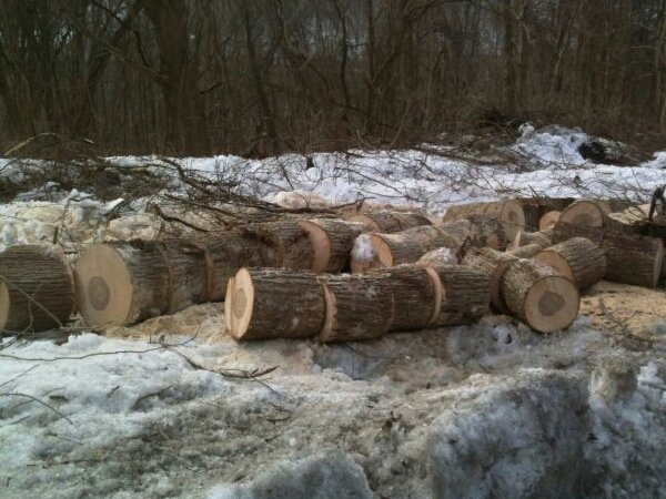 2014-03-05 09.59.09.jpg