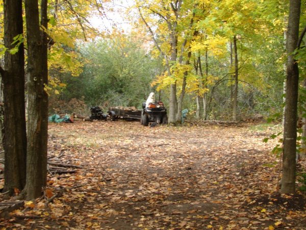 Picture 1643.jpg