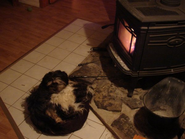 Picture 2413.jpg