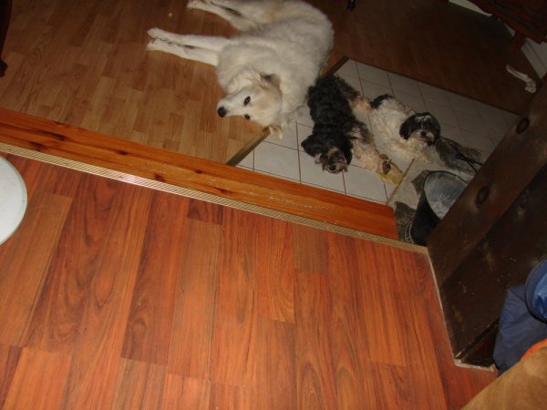 Picture 1880.jpg