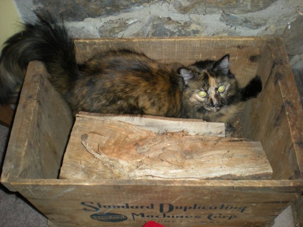 Christmas 2012, Easter 2013, spring 2013 145.jpg