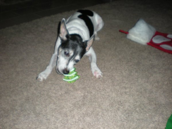 Christmas 2012, Easter 2013, spring 2013 127.jpg