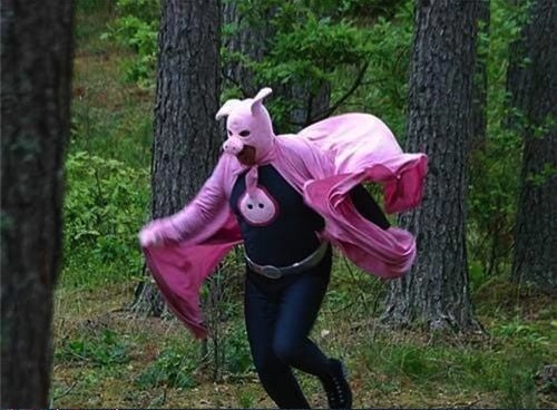 ninja-pig.jpg