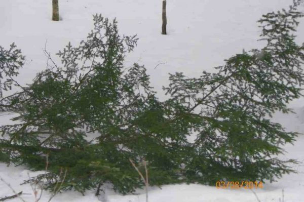 100_8740.JPG