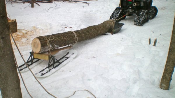 100_0021.JPG