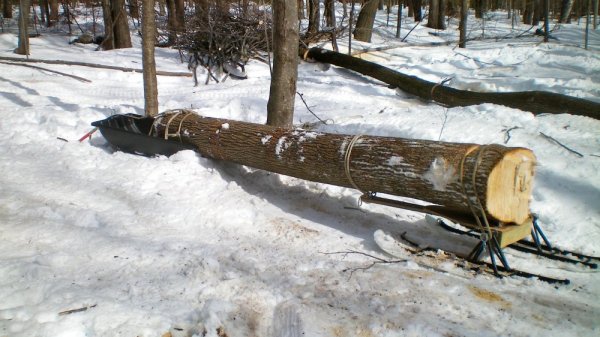 100_0029.JPG