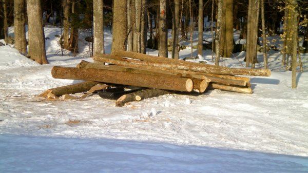 100_0045.JPG