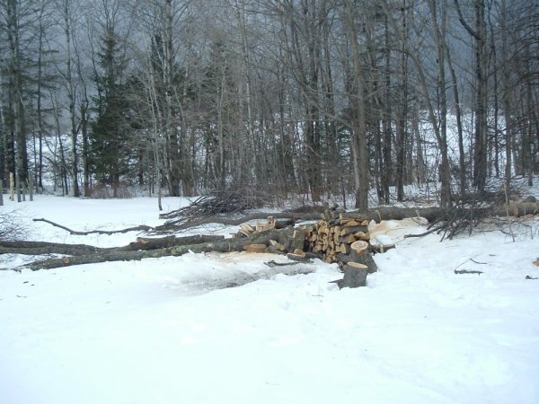 DSCF0569.JPG