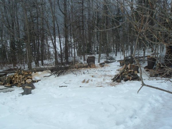 DSCF0570.JPG