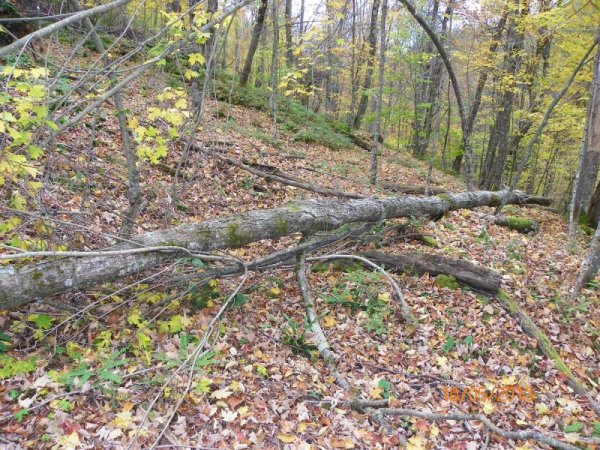 100_7940.JPG