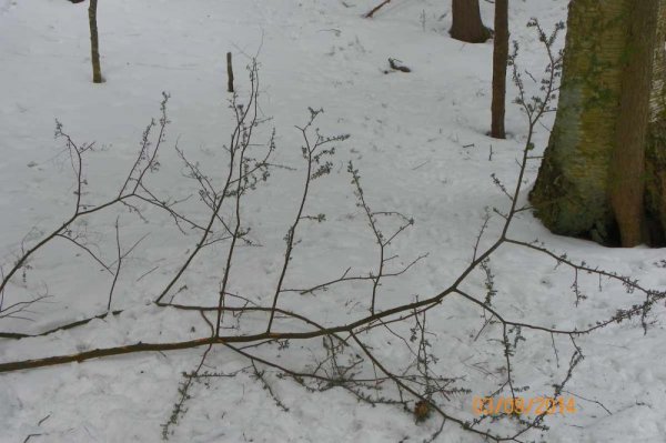100_8745.JPG