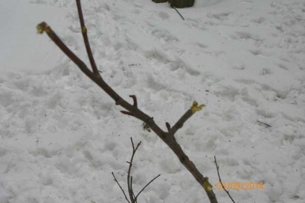 100_8746.JPG