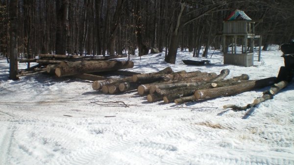100_0001.JPG
