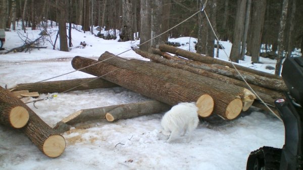 100_0004.JPG