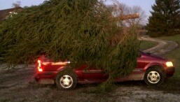 2017-07-01 06.46.43.jpg