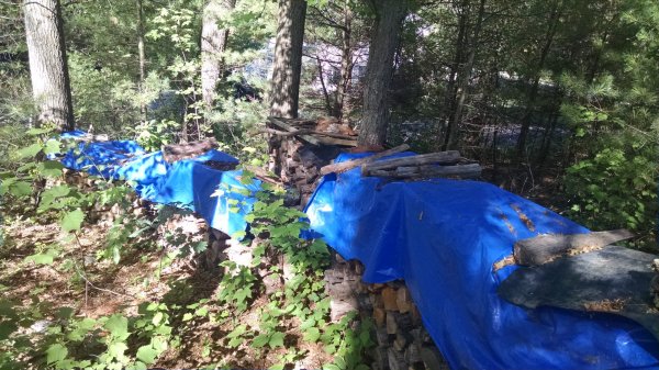 IMG_20170702_084355566.jpg