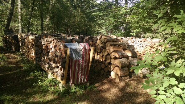 IMG_20170702_084327156.jpg