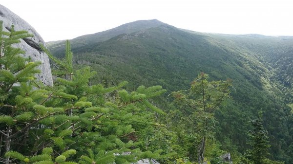 Resized_20170716_095056.jpeg