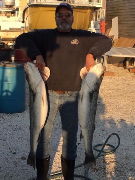 Striper3.jpg
