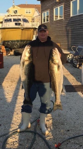 Striper2.jpg