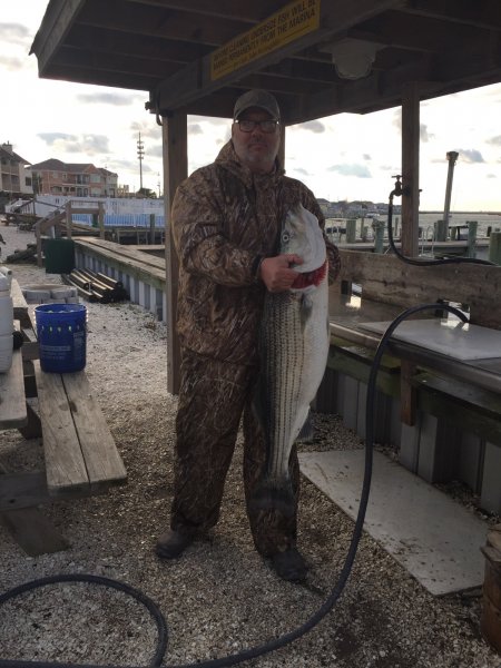 Striper1.jpg