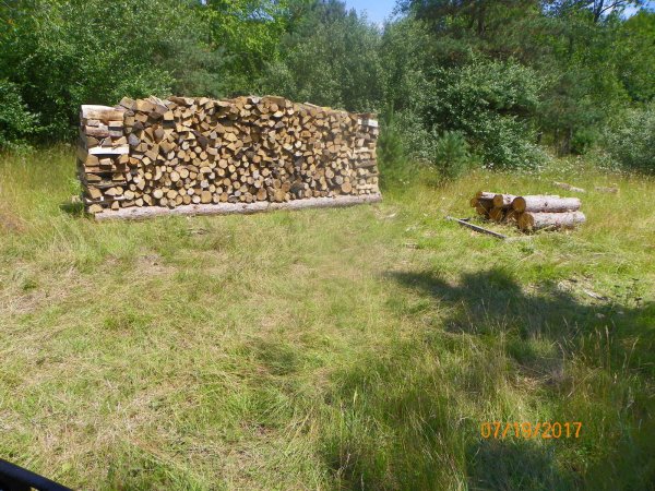 Wood stacking 7-2017.JPG