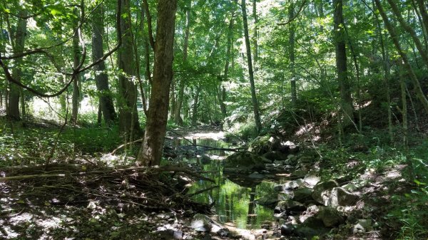 20170729_133309.jpg