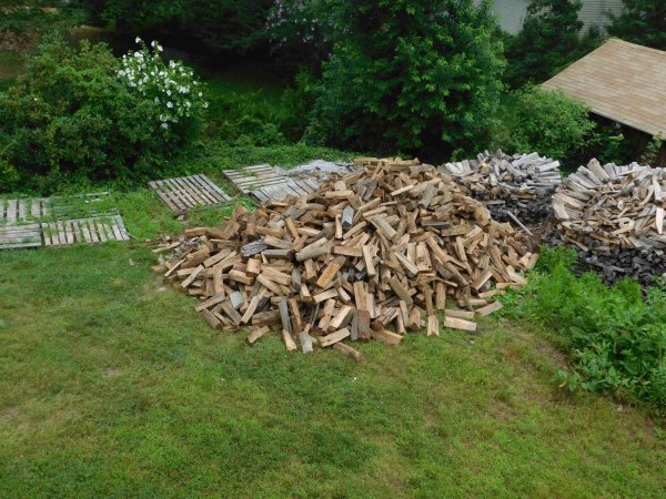 29 July 2 cord delivered 2.JPG