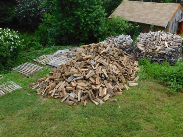 29 July 2 cord delivered.JPG