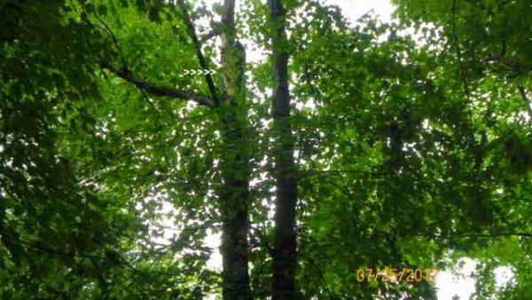 100_0331.JPG