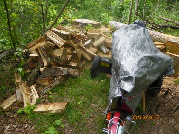 Splitting oak 2017.JPG