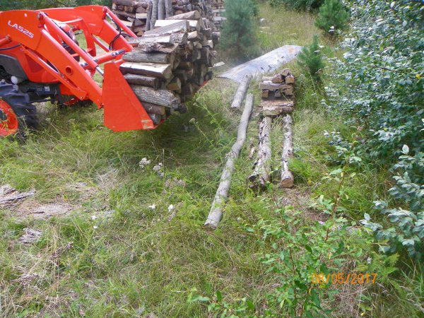 Stacking ash-2.JPG