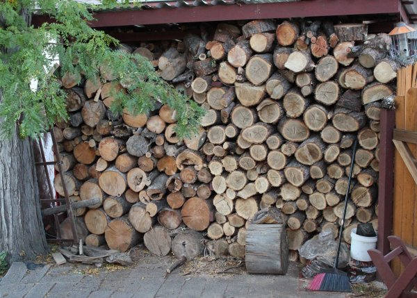 IMG_5815 - Copy (2).JPG