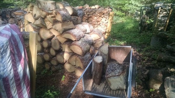 IMG_20170806_081823003.jpg