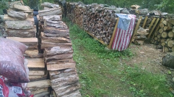 IMG_20170808_083645513.jpg