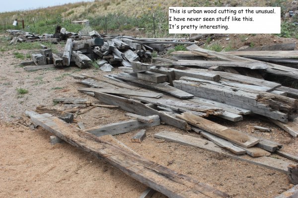 The piles.jpg
