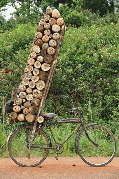 wood on bike.jpg