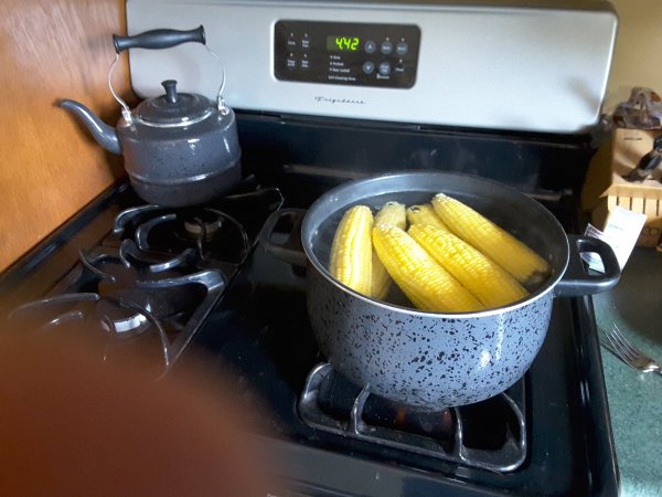 20170813_164255.jpg
