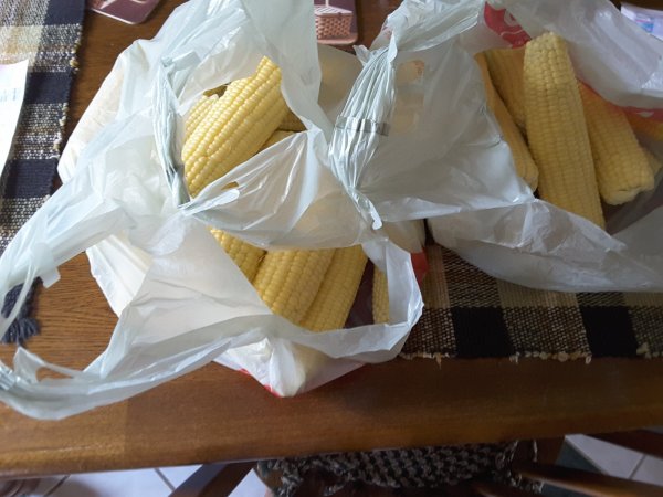 20170813_164337.jpg