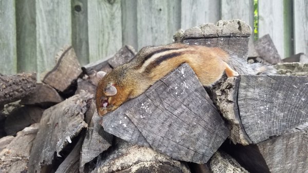 20170814_161535.jpg